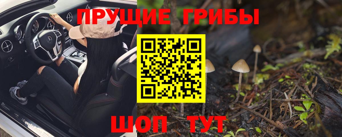 Бердск  Псилоцибиновые грибы Cubensis  где купить наркоту  Вход с VPN  Галлюциногенные грибы мухоморы 