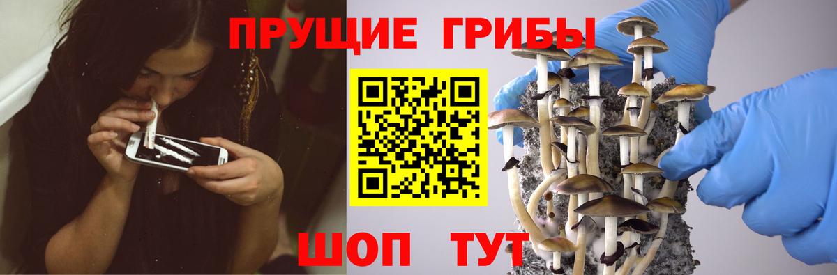 Псилоцибиновые грибы Magic Shrooms Бердск